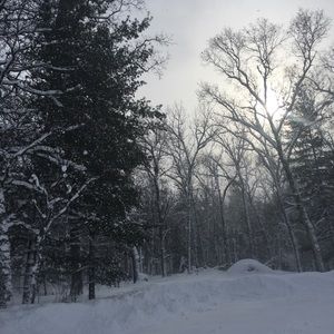 Meet your Posher, Hunter